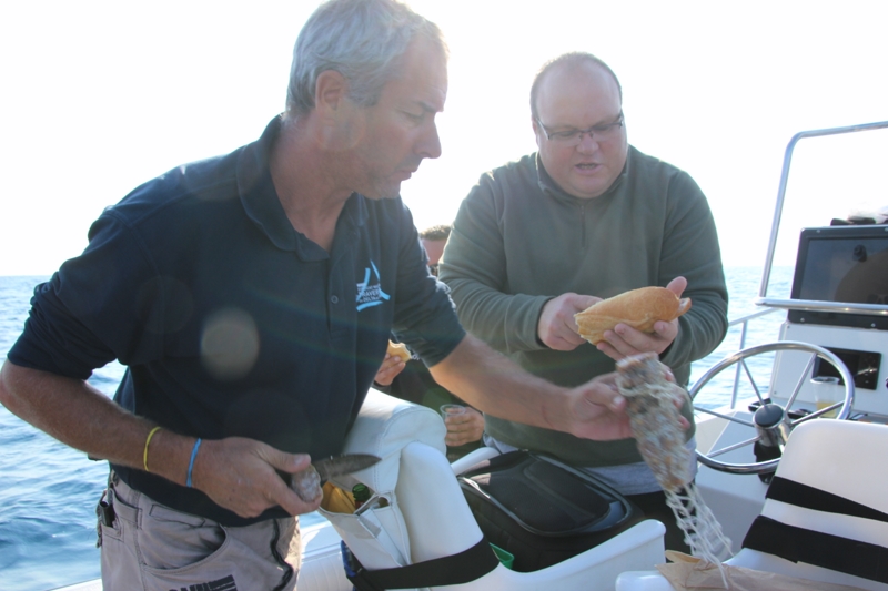 Sortie pêche au thon du 24 septembre 2016 Img_4920