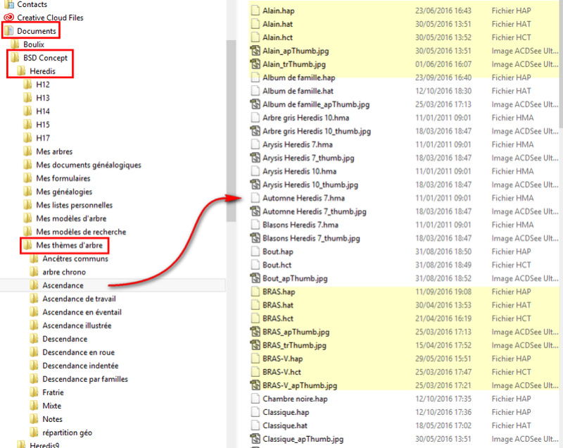 Disparition des thèmes d'arbre personnels après mise à jour de Heredis 17 2016-115