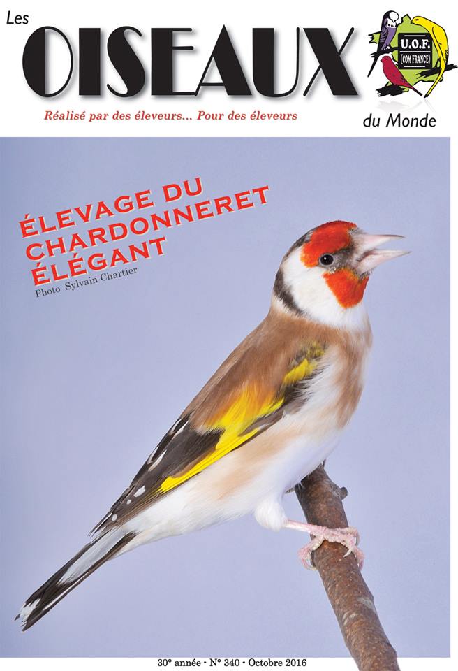 article revue les oiseaux du monde UOF - Page 3 14731210