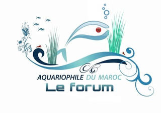 Forum Aquariophile du Maroc