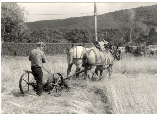 Fermes Agricoles, Viticoles et autres - Page 25 Champs10