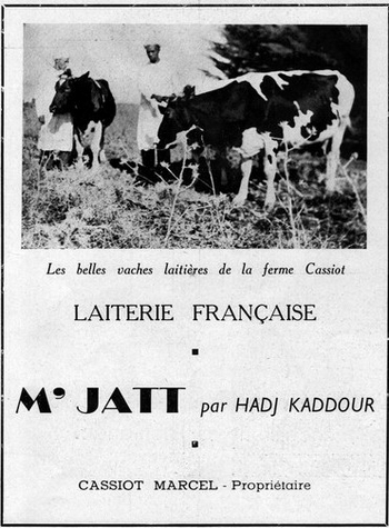 Fermes Agricoles, Viticoles et autres - Page 25 Copie187