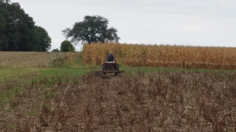 Recherche d'un micro tracteur: une aventure qui fini bien - Page 3 20161010