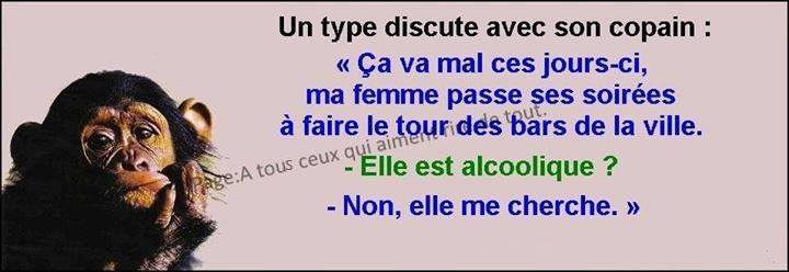 humour - Page 7 14233211