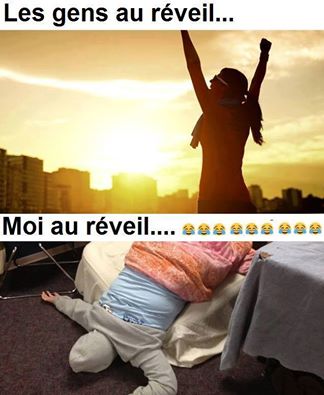 humour - Page 37 14450011