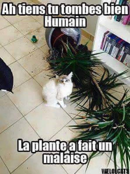 humour - Page 32 14463310