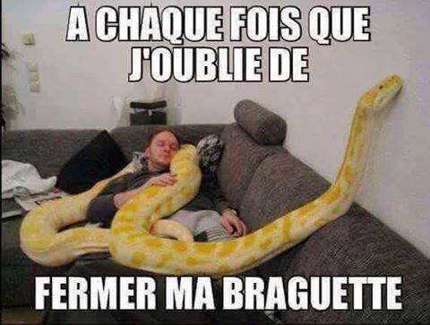 humour - Page 33 14479612