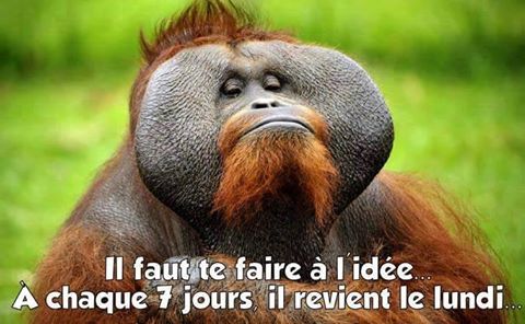 humour - Page 37 14523210