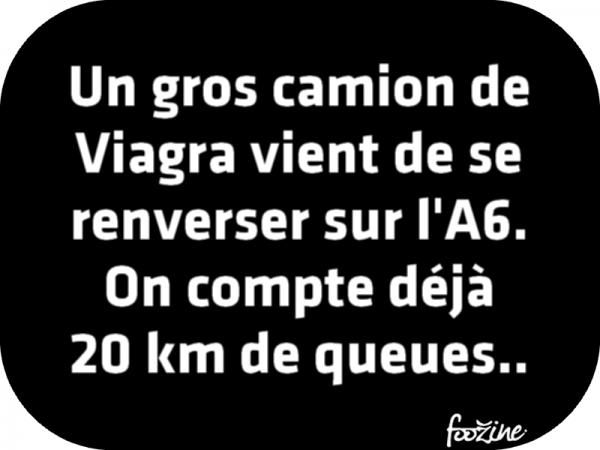 humour - Page 18 83cd6010