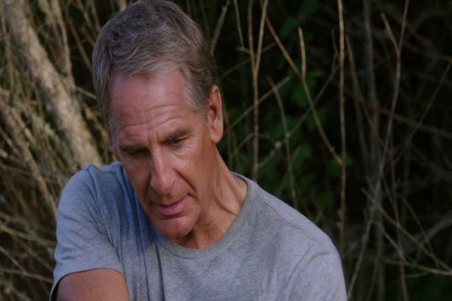 Série "NCIS Nouvelle Orléans" avec Scott Bakula - Page 3 Vlcsna26