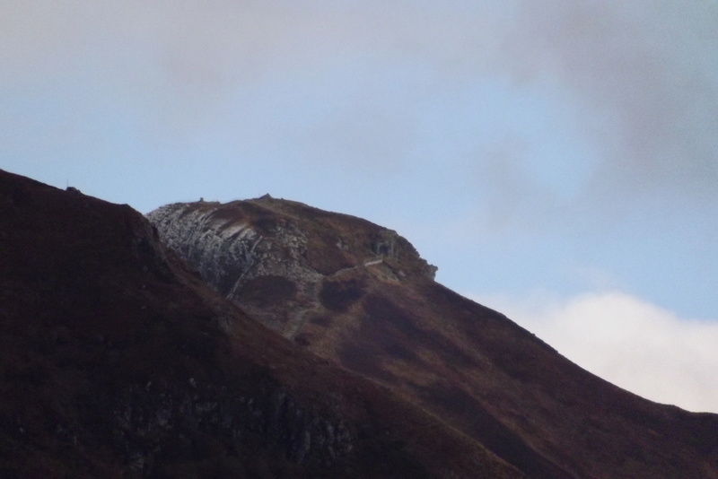 vallée du mars, le falgoux, les betes sauvages, Dscf3238