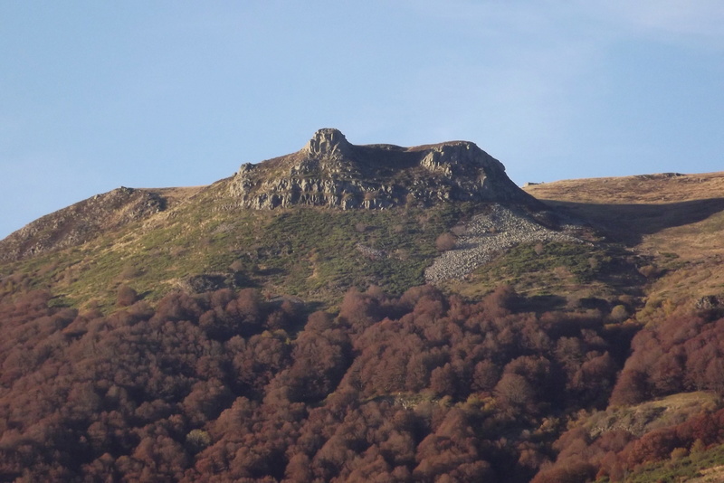 vallée du mars, le falgoux, les betes sauvages, Dscf3246