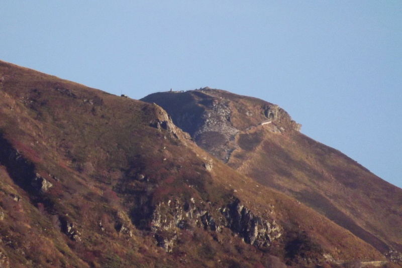 vallée du mars, le falgoux, les betes sauvages, Dscf3249