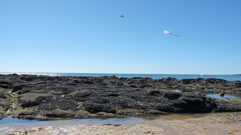 Vacances 2016 sur la côte Bretonne , Le Croisic P1090713