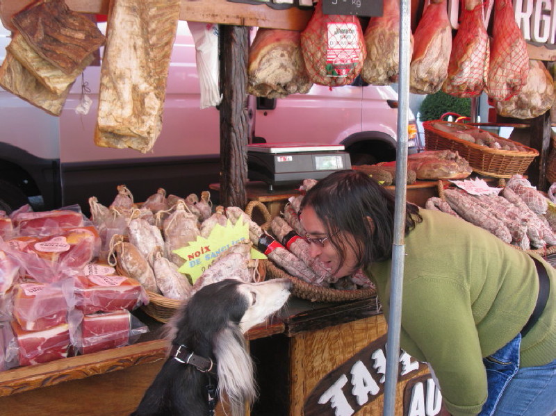 Des chiens au vide-grenier Img_0108