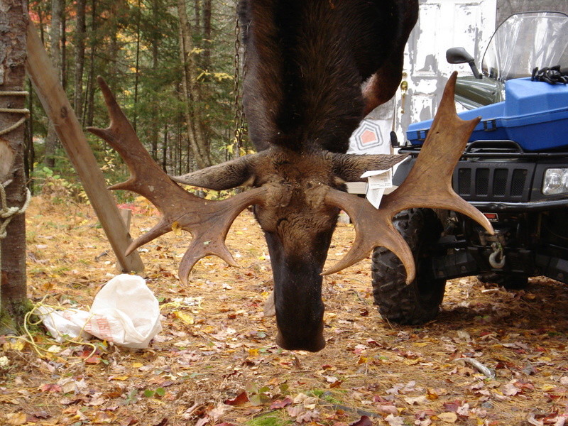 MA CHASSE DE  2016 Chasse18