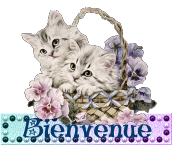 BLISS , née en 2013 - ( Alina) - Adoptée via l'ARPA (Dpt91) 03253011