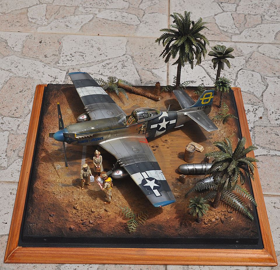 Plein de trucs au 1/48ème P51-210