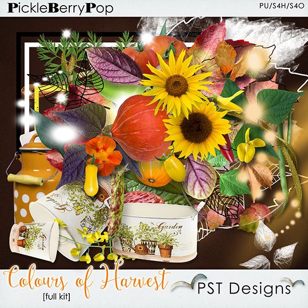 Colours of Harvest  - layouts _previ13