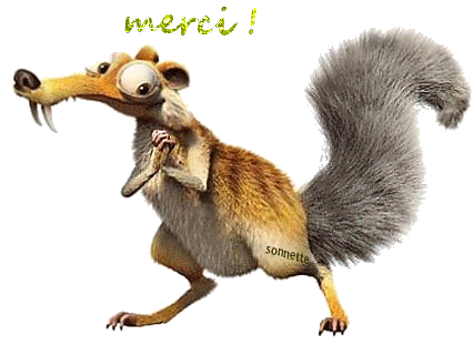 SPIROU, mâle né en 2014 sauvé d'Oltenita - parrainée par Les 3 Loulous -R-SOS-SC - Page 2 Cf066b10