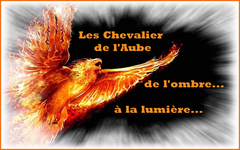 Chevaliers de l'aube : de Lombre à la lumière