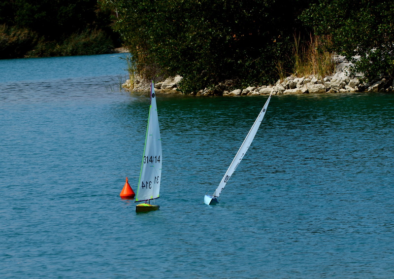 Une petite sortie au bord e l'eau, le Lac de Lapalud - Page 2 _47a9816