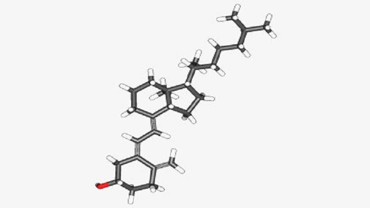 اكتشاف خصائص جديدة لفيتامين "دي" 5810d910