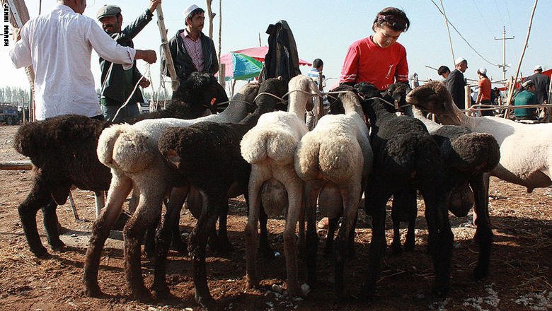 في هذا المكان..سر تجهله البشرية 9_45810