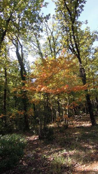 Randonnée plus calme aux Eguilles de Valbelle par le Gapeau le 20 Octobre 2016 Dscn4511