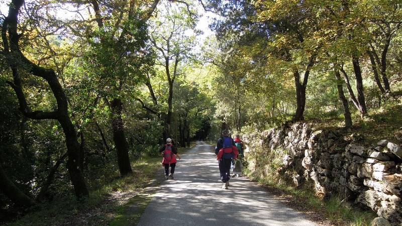 Randonnée plus calme aux Eguilles de Valbelle par le Gapeau le 20 Octobre 2016 Dscn4613