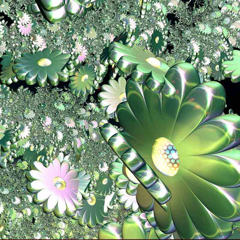 fractales de Septembre - Page 2 Fleurs10