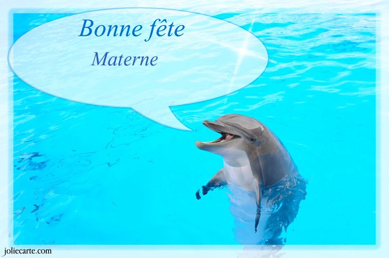 Bonne Fete Home Current Bonne Fete Home Current