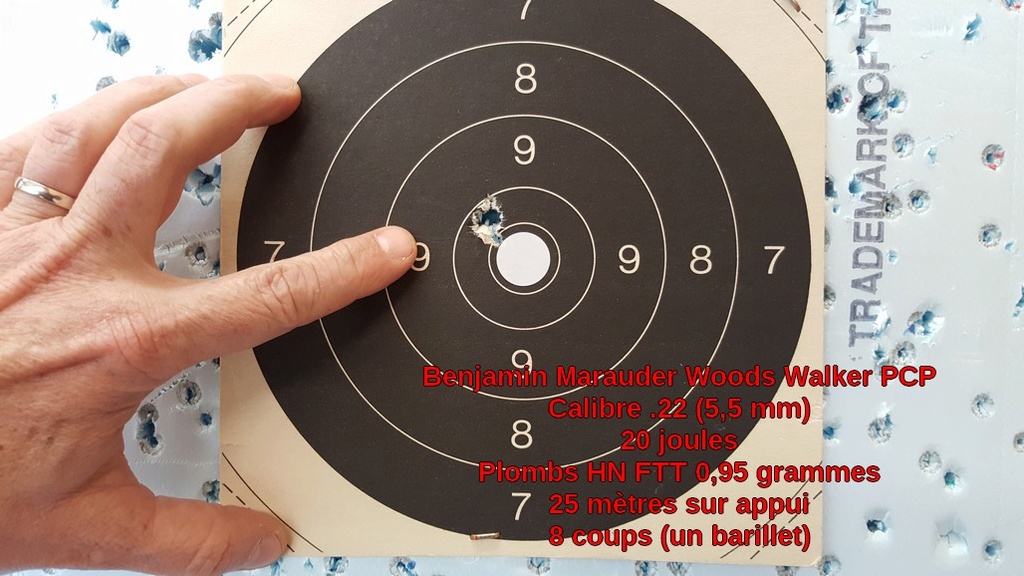 Essais de la Benjamin Marauder .22 PCP config. carabine ... 20161014