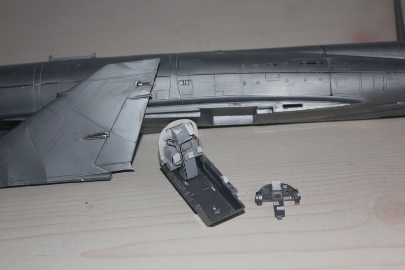 1/32  Mirage III E  Revell    FINI Img_1913