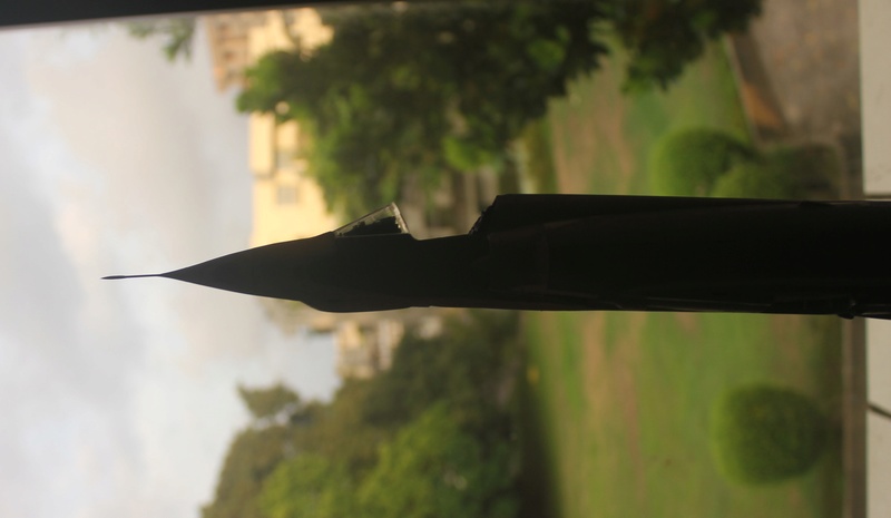 1/32 Mirage III E Revell FINI - Page 4 Img_2010