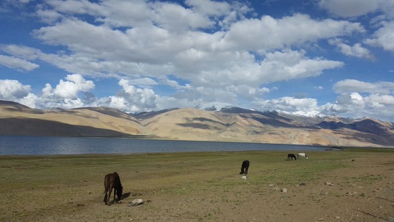 Ladakh 2016 et nord de L'Inde. 20160813