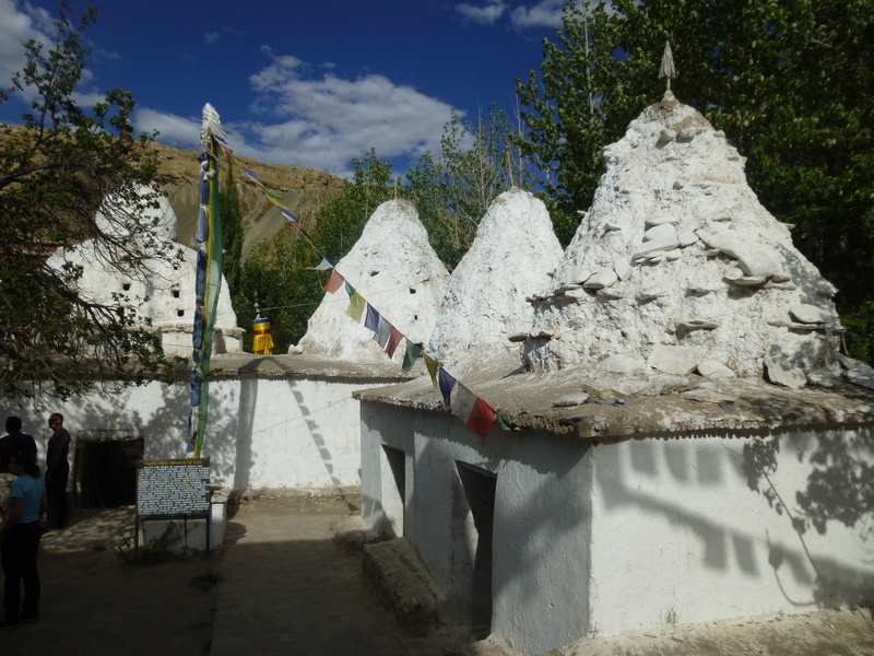 Ladakh 2016 et nord de L'Inde. P1050017
