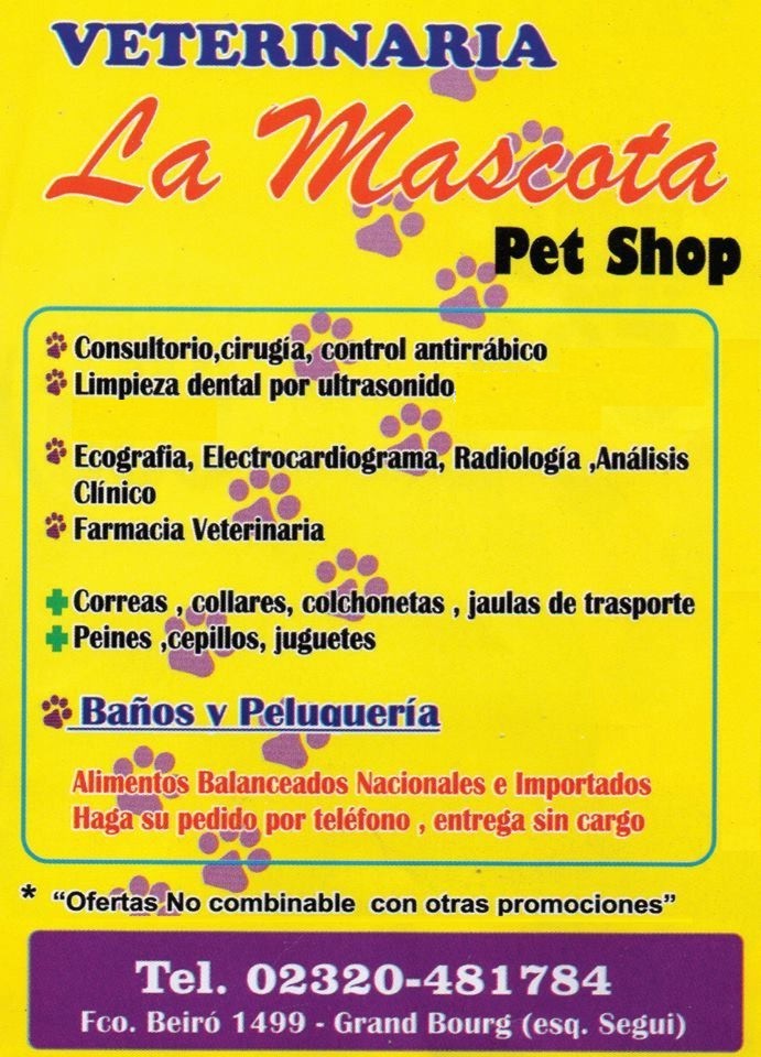 Convertirán Avenida Del Libertador en la primera “calle compartida” para unir Retiro con Vicente López Aviso601