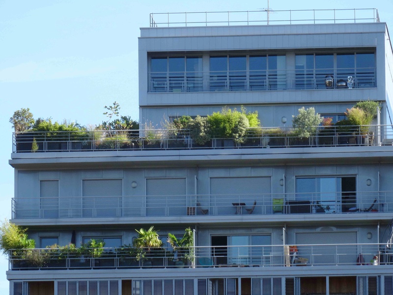 Balcons et terrasses les plus verts Dsc01642
