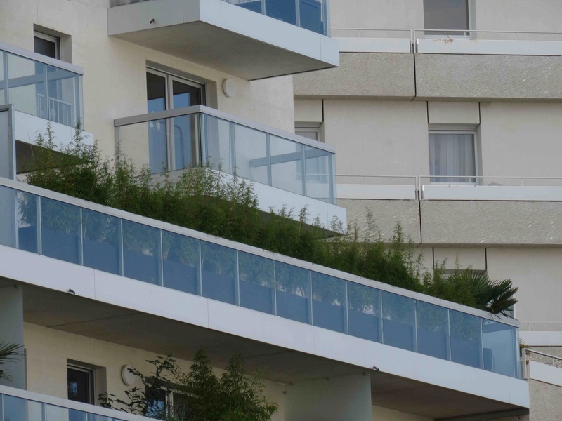 Balcons et terrasses les plus verts Dsc05410