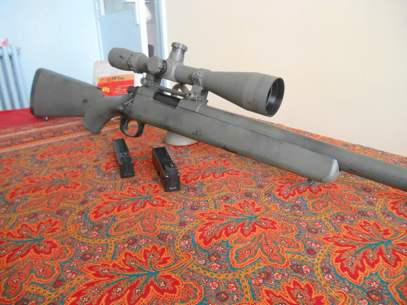 Vsr 10 Marui Prosniper Upgradé PDI à vendre [VENDU!] Dscn3910