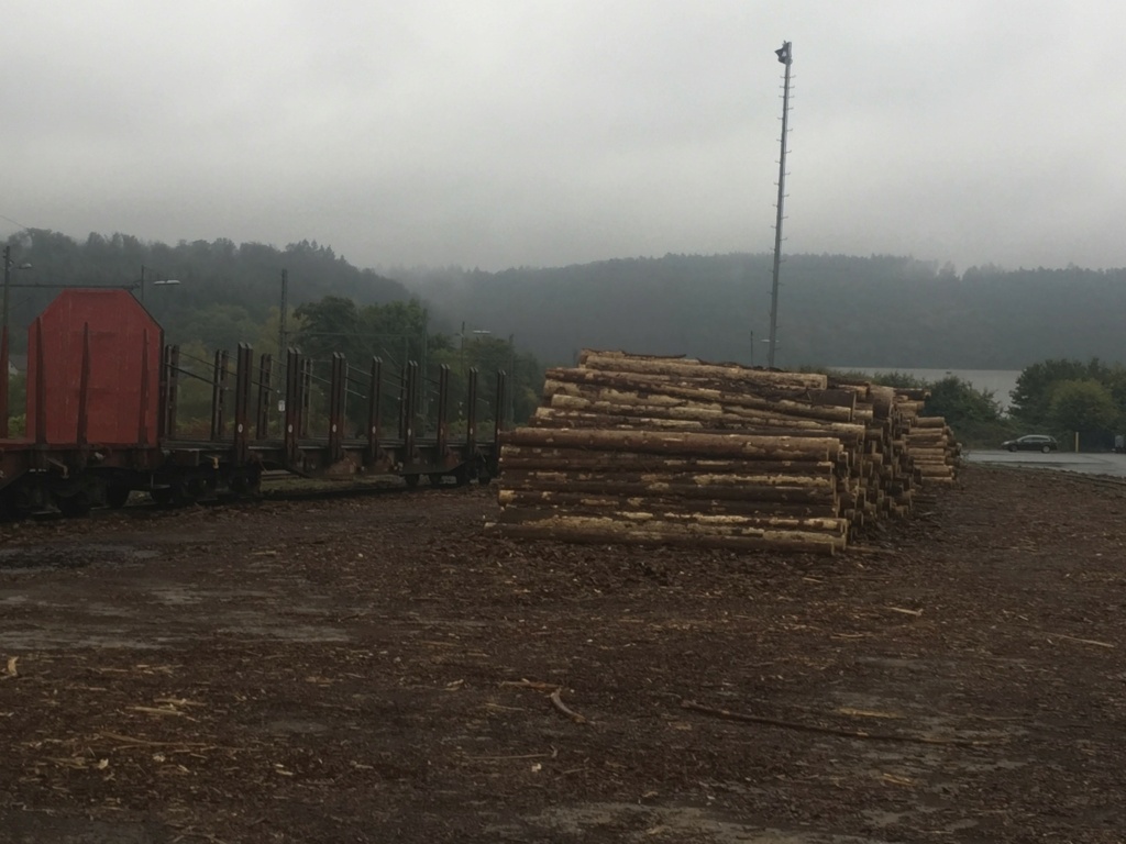 Holzverladung am Bahnhof Scheuerfeld (Bilder) 20200940