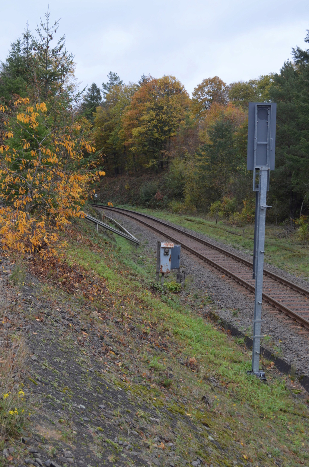 Steilstrecke Boppard - Buchholz 20201040