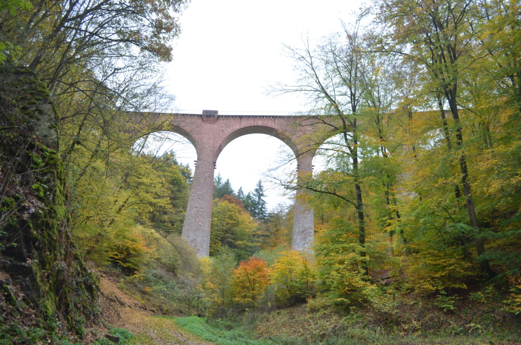 Steilstrecke Boppard - Buchholz 20201052