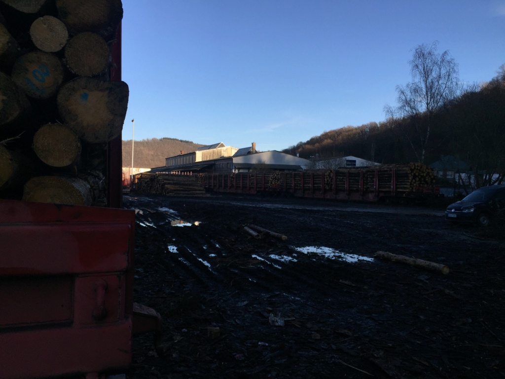 Holzverladung am Bahnhof Scheuerfeld (Bilder) - Seite 2 20201230