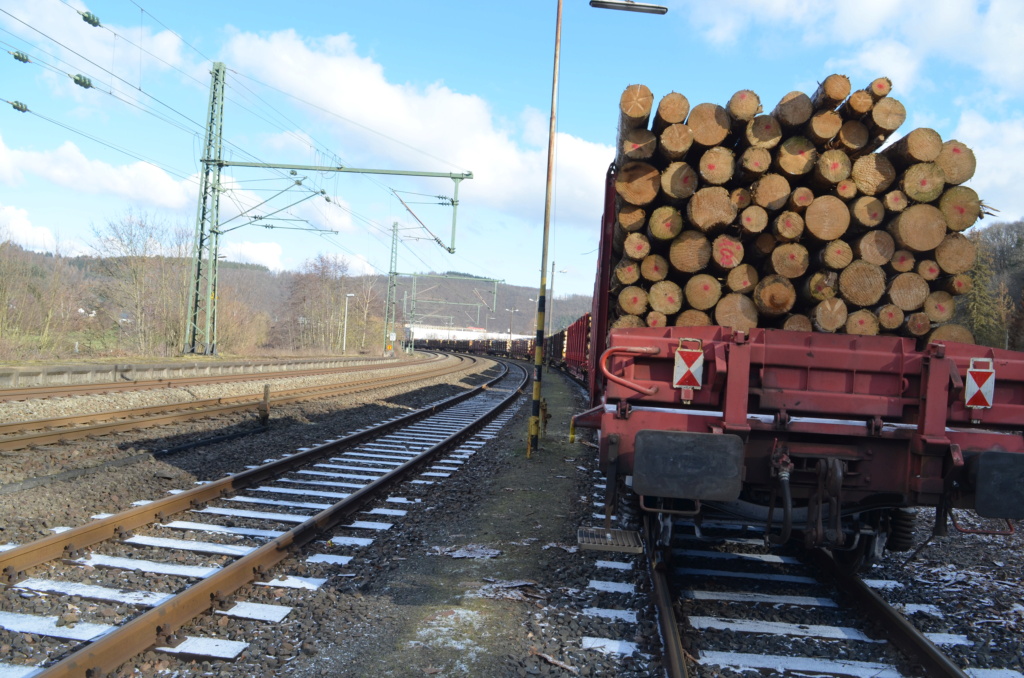 Holzverladung am Bahnhof Scheuerfeld (Bilder) - Seite 3 20210227