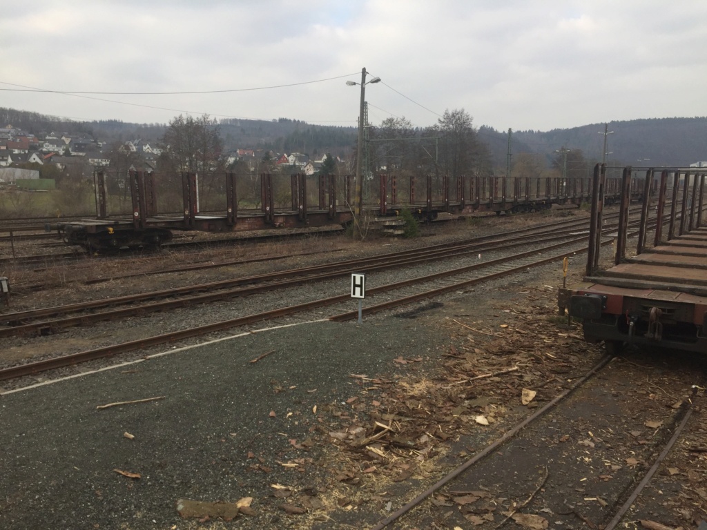 Holzverladung am Bahnhof Scheuerfeld (Bilder) - Seite 3 20210331