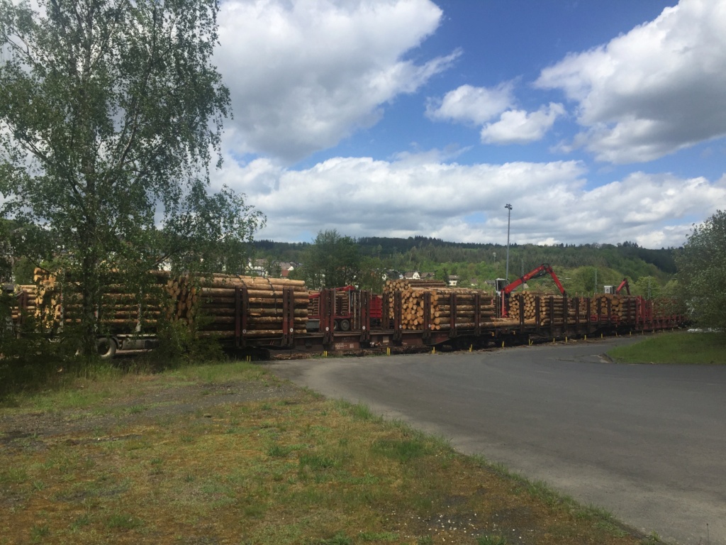 Holzverladung am Bahnhof Scheuerfeld (Bilder) - Seite 4 20210554