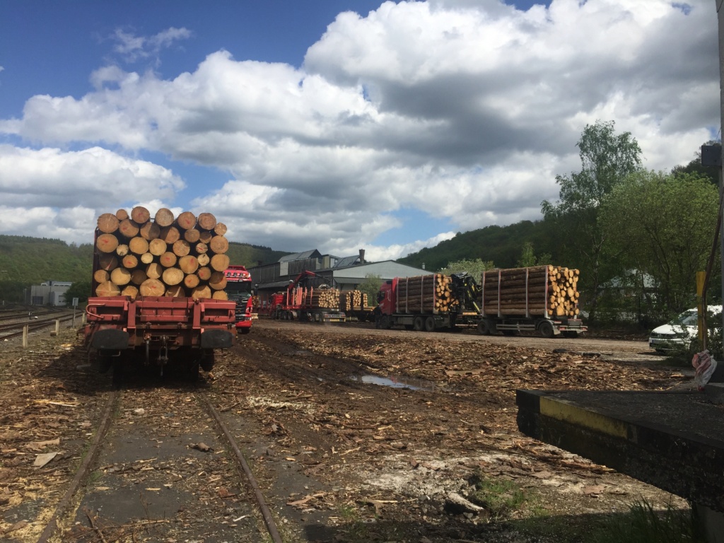 Holzverladung am Bahnhof Scheuerfeld (Bilder) - Seite 4 20210557