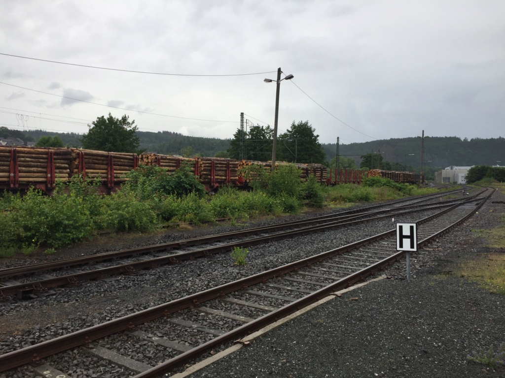 Holzverladung am Bahnhof Scheuerfeld (Bilder) - Seite 4 20210715